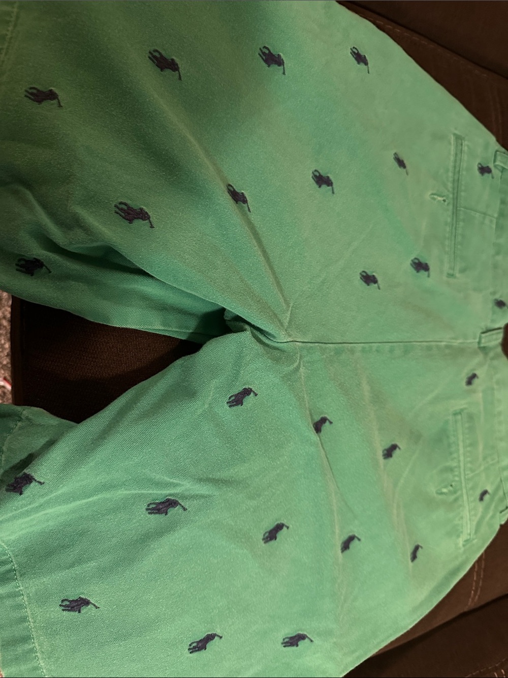 Polo by Ralph Lauren Green Flat Front Shorts with Navy Embroidered Pony